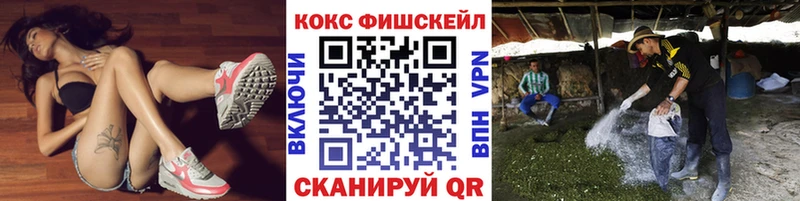 МЕГА как войти  Черемхово  КОКАИН FishScale 