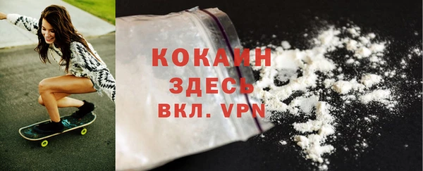 дживик Баксан