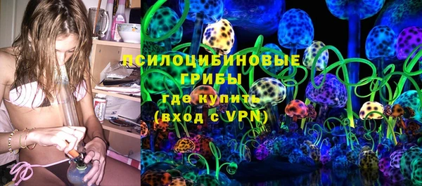 дживик Баксан