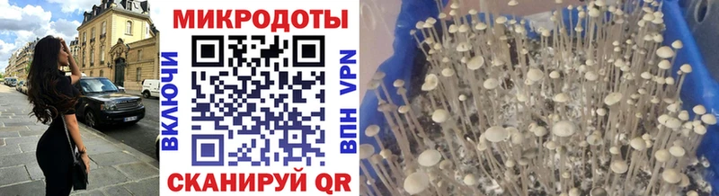 Псилоцибиновые грибы мицелий  как найти наркотики  Черемхово 